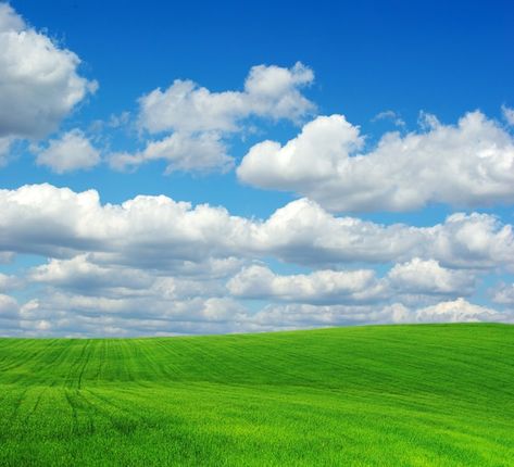 Green field and blue sky background | Premium Photo #Freepik #photo #land-background #field #green-land #land Sky And Land Background, 206 Rc, Land Background, Field Background, Green Land, Frutiger Aero, Green Ground, Green Field, Blue Sky Background