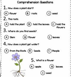 Parts of the plant: reading comprehension Language: English Grade/level: 2nd Grade School subject: Natural Science Main content: Parts of a plant Other contents: Plant Parts Worksheet, Evs Worksheet, English Comprehension, Worksheet For Class 2, Human Body Worksheets, Parts Of The Plant, Grade 2 Science, Grade 3 Science, Plants Worksheets