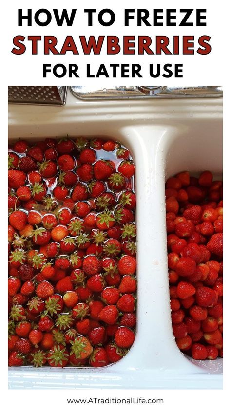 How to Freeze Strawberries for Later Use How To Store Fresh Strawberries, Freezing Strawberries How To, Can Strawberries, Freeze Strawberries, Freezing Strawberries, How To Store, Food Preservation, Fresh Strawberries, Frozen Fruit