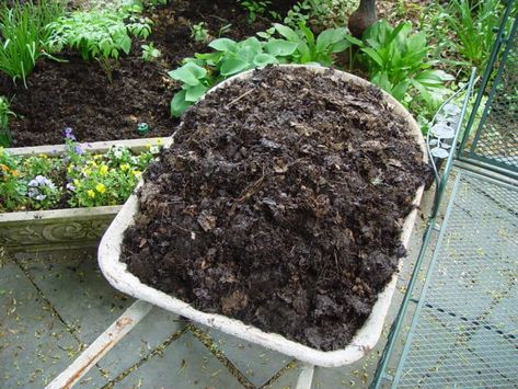 Worm Farm Diy, Plantarea Legumelor, Leaf Mulch, Compost Mulch, Leaf Mold, Diy Leaves, Historic House, Bee Garden, Lawn And Landscape