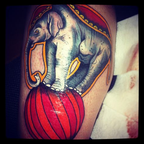 Traditional tattoo. Circus Elephant. Vintage Circus Tattoo, Circus Elephant Tattoo, Circus Elephant Tattoos, Elephant Thigh Tattoo, Zebra Tattoos, Tattoo School, Circus Tattoo, Old School Ink, Tattoos Pinterest