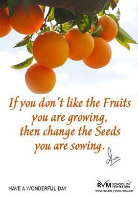 If you don't like the Fruits you are growing, then change the Seeds you are sowing. Point Of View Quotes, Seed Quotes, Fruit Quotes, I Love You God, View Quotes, Garden Quotes, Dream Quotes, Biblical Quotes, Bible Verses Quotes