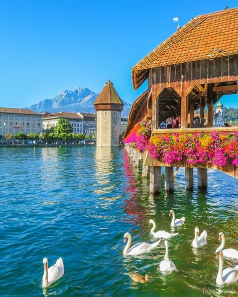 Switzerland Summer, Switzerland Photography, World Most Beautiful Place, Lucerne Switzerland, Medieval Architecture, Senior Trip, Switzerland Travel, Dream Travel Destinations, Lucerne