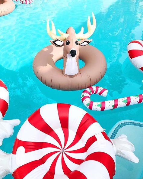 Christmas pool floats Christmas In July Decorations, California Christmas, Tropical Wreath, Aussie Christmas, Colored Bubbles, July Holidays, Tinsel Tree, Summer Christmas, Tropical Christmas