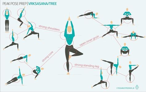 Yoga Sequencing, Hata Yoga, Yoga Tree Pose, Yoga Teaching, Yoga Tree, Yoga Anatomy, Flow Yoga, Vinyasa Flow, Tree Pose