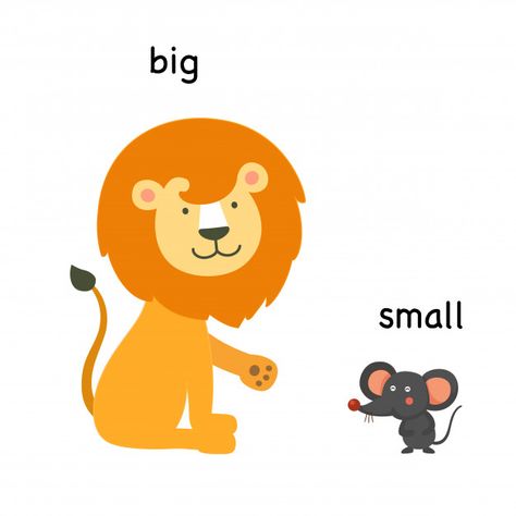 Big And Small Activities Preschool, Opposites For Kids, Ingles Kids, Kindergarten Reading Activities, Alphabet Kindergarten, Opposite Words, Learning English For Kids, Flashcards For Kids, Kids English