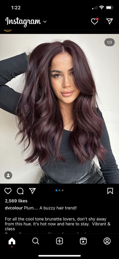 Dark Hair On Tan Skin, Cherry Mocha Hair Color, Burgundy Hair Hazel Eyes, Cherry Brown Highlights On Black Hair, Chocolate Cherry Brown Hair Highlights, Dark Cherry Black Hair, Dark Chocolate Mahogany Hair, Deep Mahogany Brown Hair Color, Dark Burgundy Brown Hair