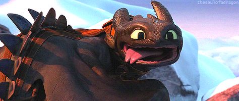 toothless back spikes gif - Google Search Funny Dog Fails, Httyd Toothless, Toothless And Stitch, Astrid Hiccup, Dog Fails, Toothless Dragon, Hiccup And Toothless, Hiccup And Astrid, Dreamworks Movies