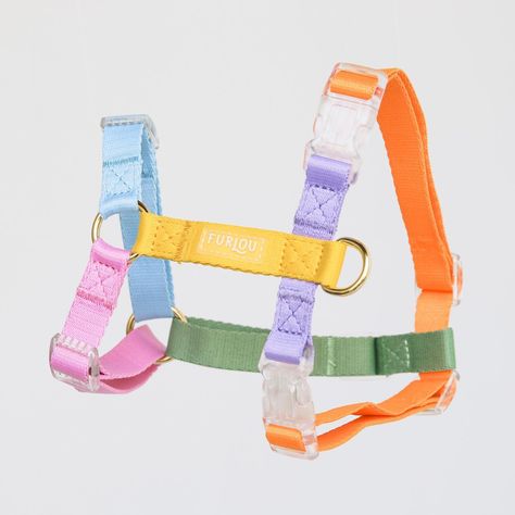 Furlou ⇾ Dog Accessories (@furlou_) • Instagram photos and videos Rainbow Dog, Rope Leash, Poop Bag Holder, Bag Holder, Dog Harness, Dog Accessories, Dog Leash, Dog Walking, D Ring