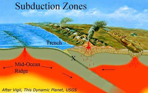 Geology IN: Earthquakes: Supercycles in subduction zones Subduction Zone, Emergency Water, Plate Tectonics, Science Fair Projects, Earth Science, Volcano, Pacific Northwest, Geology, North West