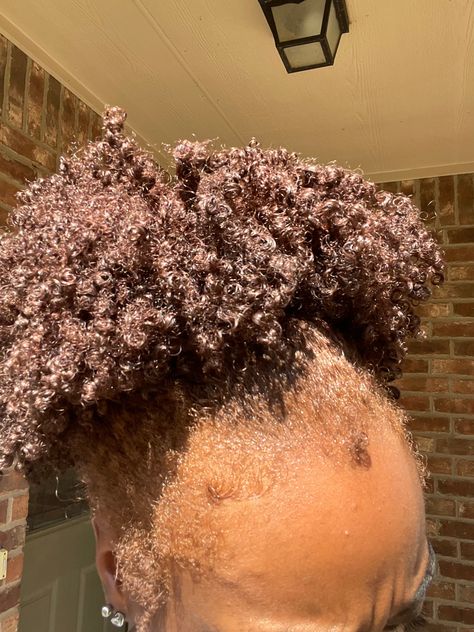 Light Brown Dyed Hair, Curly 4c Hair, Brown Dyed Hair, Natural Brown Hair, Creme Of Nature, Pressed Natural Hair, Silk Press Natural Hair, Brown Curly Hair, Curls Hairstyles