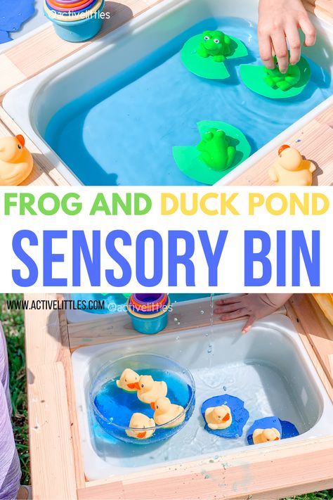 Ideas For Two Year Olds, Easy Sensory Bin, Quiet Toddler Activities, Sensory Bin For Toddlers, Pond Crafts, Water Play For Kids, Sensory Bin Ideas, Toddlers Activities, Pond Animals