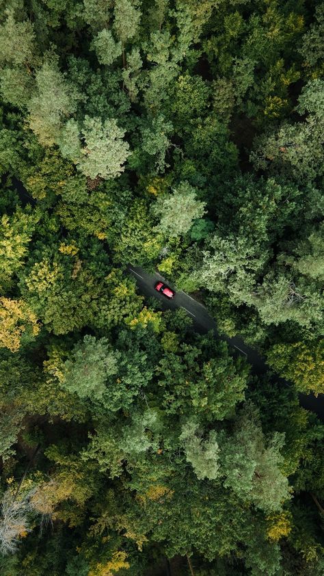 Drone Shot of a Car on an Asphalt Road Through a Green Forest · Free Stock Photo Fairy Creatures, Drone Shots, Asphalt Road, Shot Ideas, Designer Portfolio, Car Driving, Graphic Designer Portfolio, Green Forest, Red Car