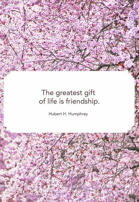 25 Cute Best Friend Quotes - Short Quotes About True Friends Quotes About True Friends, Friendship Quotes Short Cute, Friendship Day Pictures, Short Thoughts, Ship Quotes, Cute Best Friend Quotes, Guy Friendship Quotes, True Friends Quotes, Friend Ship