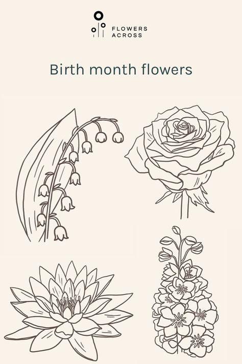 birth month flowers
fresh flowers 
birth month meaning Birth Month Flower Meanings, People Born In October, Flowers And Their Meanings, January Flower, January Birth Flower, Nature Vs Nurture, December Birth Flower, June Flower, February Birth Flowers