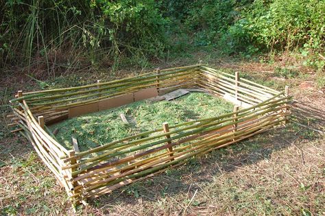 High Raised Garden Beds, Building A Raised Bed, Small Urban Garden, Raised Garden Bed Plans, Raised Vegetable Gardens, Bamboo Planter, Building Raised Garden Beds, Small Vegetable Gardens, Diy Raised Garden