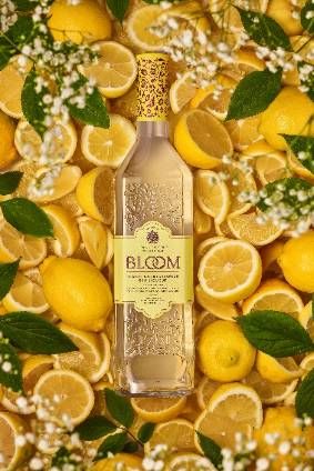 Quintessential Brands’ Bloom Lemon & Elderflower Gin Liqueur -Product Launch Bloom Gin, Bottle Shoot, Gin Liqueur, Gin Brands, Cocktail Photography, Lemon Drink, Pisco Sour, Wine Photography, Drinks Brands