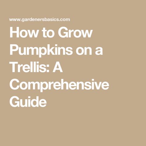 How to Grow Pumpkins on a Trellis: A Comprehensive Guide Pumpkins On A Trellis, How To Grow Pumpkins, Pumpkin Trellis, Butternut Squash Seeds, Grow Pumpkins, Asparagus Seeds, Chive Seeds, Okra Seeds, Chamomile Seeds