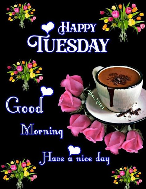 Tuesday Morning Wishes, Happy Tuesday Images, Good Morning Tuesday Images, Happy Tuesday Morning, Tuesday Quotes Good Morning, Tuesday Images, Good Night Friends Images, Bunny Quotes, Morning Thursday