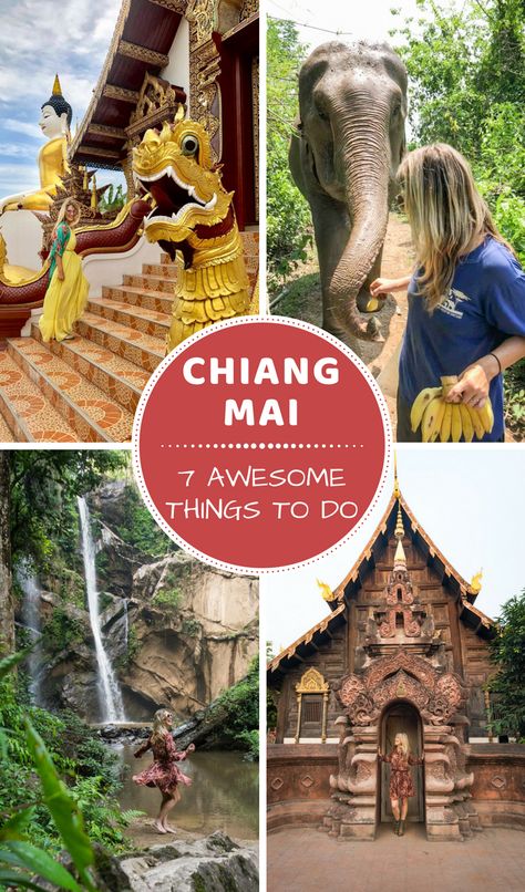 Thailand Wardrobe, Chiang Mai Travel, Thailand Destinations, Khao Soi, Thailand Itinerary, Asia Trip, Thailand Adventure, Thailand Vacation, Thailand Travel Tips