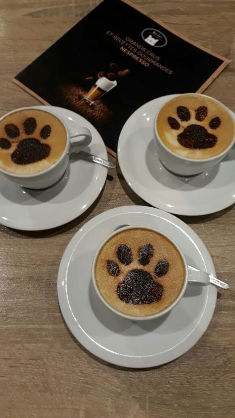 Cat Cafe Ideas, Cat Cafe Japan, Cat Cafe Aesthetic, Pet Cafe, Cafe Japan, Bookstore Cafe, Themed Cafes, Dog Cafe, Coffee Barista