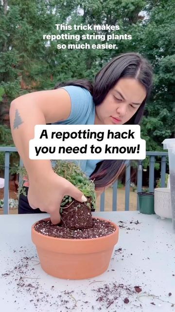 Repot Plants, Repotting Plants, Spring Planting, Plant Parent, Flower Baskets, Plant Hacks, Gardening 101, Bloom Where You Are Planted, Plants Decor