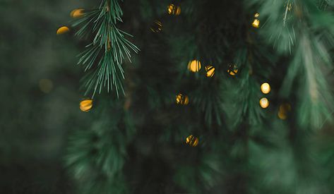 Christmas Desktop Wallpaper, Christmas Desktop, Leaf Photography, Christmas Wallpaper Backgrounds, Pc Wallpaper, Twinkling Lights, Winter Light, Multiple Images, Stock Photography Free