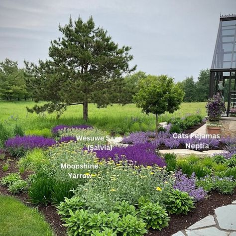 Dawn Young | This garden has received a lot of attention the past week or so…and everyone wants the plant names. I labeled these in the photo to mak... | Instagram Plant Names, Garden Friends, Perennial Garden, The Plant, My Garden, You Happy, Beautiful Eyes, Garden Inspiration, The Photo