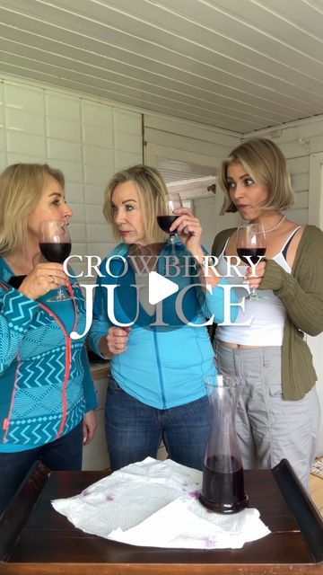 Jenny Bolle on Instagram: "My aunts antioxidant crowberry juice recipe!🦋💛
Don’t have crowberries where you live? Try blueberries, blackberries, raspberries or a mix. This recipe works on other berries too.

1. Pick your berries, rinse them. Then mash them with an immersion blender (not too much, you don’t want the stones inside the berries to get ducking crushed) :)
2. For every 3L crowberries, you add 1.5L water.
3. Let sit in a cold place for two days for all the liquid to come out of the berries.
4. On day two drain the berries using a cloth.
5. Add raw organic sugar to taste, or any other sweetener of choice.
6. No boiling or lemon extracts needed. Just freeze it, and whenever you need an antioxidant boost, defrost and enjoy!" Immersion Blender, Juice Recipe, Lemon Extract, Organic Sugar, Food Words, Juicing Recipes, Drain, Raspberry, Juice