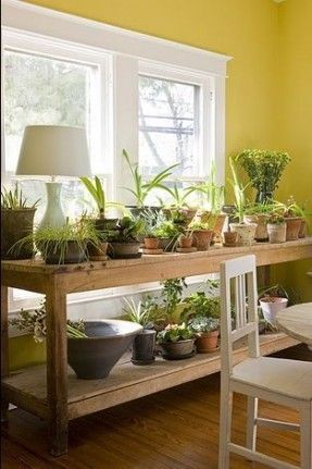 love this indoor plant table & i love how there is still light for the plants on the bottom shelf :) ...looks like a project for my son & I! Indoor Plant Table, Harvest Rainwater, Water Harvesting, Indoor Vegetables, Trendy Plants, Indoor Vegetable Gardening, Pallet Sofa, Plant Table, Design Blogs