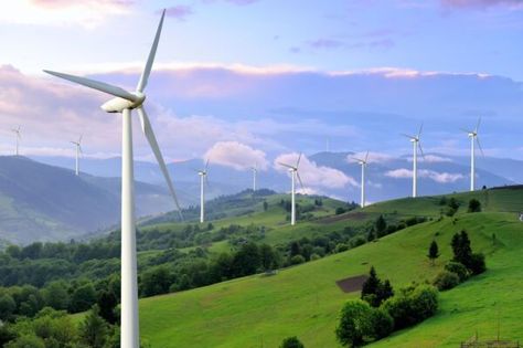 The world can reach carbon neutrality by 2035, way before we once thought Solar Energy Projects, Solar Energy Diy, Wind Turbines, Wind Farm, Environment Day, World Environment Day, Energy Industry, Renewable Sources Of Energy, Energy Projects