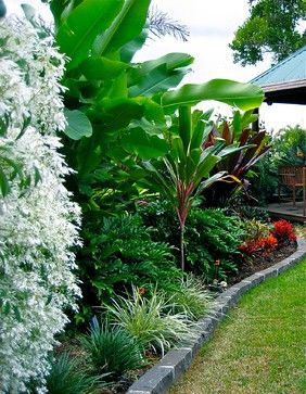 Garden Remodel, Backyard Corner, Tropical Backyard Landscaping, Tropical Garden Ideas, Tropical Landscapes, Hawaiian Plants, Bali Garden, Balinese Garden, Tropical Landscape Design