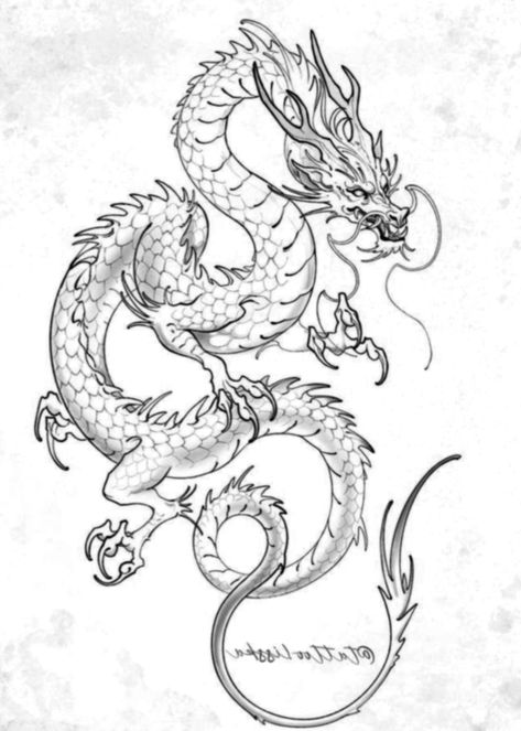 Chinese Dragon Drawing Sketches, Traditional Japanese Dragon Tattoo, Drawing Ideas Tattoo, Chinese Dragon Drawing, Spider Flower, Japanese Dragon Drawing, Dragon Chino, Dragon Ideas, Skeleton Drawings