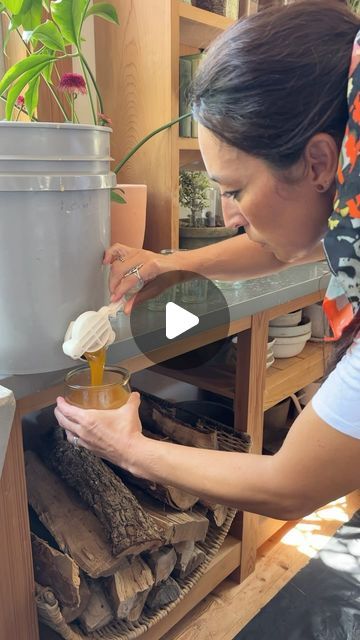 Joanna Gaines on Instagram: "My favorite day of the year on the farm—Honey harvest day! 🍯🐝" Joanna Gaines Greenhouse, Joanna Gaines Garden, Joanna Gaines Instagram, Honey Harvest, Harvest Day, Land Of The Living, Chip And Joanna Gaines, Days Of The Year, Joanna Gaines