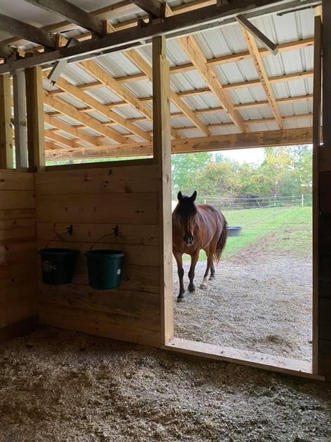 Simple Horse Stalls, Horse Run In Shelter, Simple Horse Barns, Paddock Trail, Horse Shed, Backyard Barn, Barn Layout, Horse Farm Ideas, Paddock Paradise