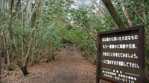 Aokigahara Forest, Scary Forest, Monte Fuji, Dark History, Halloween 5, Japanese Mythology, Yamanashi, Victorian Mansions, Forest Path