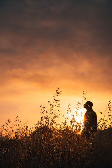 Sunset Silhouette Boyz Dp, Red Sky At Morning, Village Photos, Sunset Images, Sunset Silhouette, Creative Profile Picture, We Are The World, Rural Landscape, Red Sky