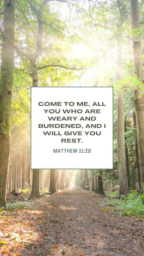 Matthew 11 28 Wallpaper, Book Of Matthew, Background Powerpoint, Faith Scripture, Come To Me, Memory Verse, Faith Inspiration, History Facts, Scripture Quotes