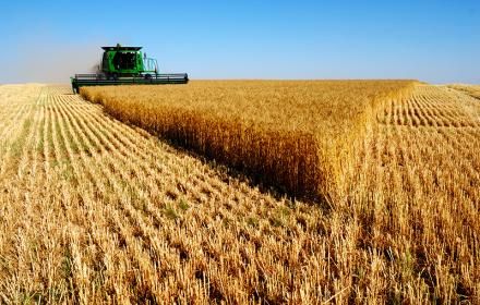 Farm Land, Combine Harvester, Fields Of Gold, Farm Ranch, Wheat Fields, Harvest Time, المملكة العربية السعودية, Down On The Farm, Farm Tractor