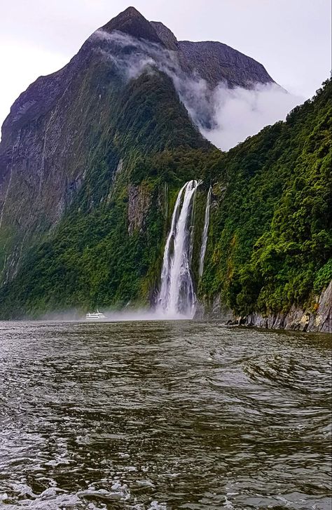 Fjordland National Park New Zealand, New Zealand National Parks, Milford Sound New Zealand, Fiordland National Park, New Zealand South Island, Milford Sound, Travel Wishlist, New Zealand Travel, Beautiful Places Nature