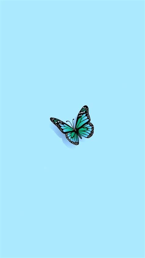 𝓅𝒾𝓃𝓉𝑒𝓇𝑒𝓈𝓉: 💕𝙙𝙮𝙡𝙖𝙣💕 | Butterfly Wallpaper Iphone, Aesthetic Wallpaper For Keyboard Phone Aesthetic, Preppy Ipad, Small Great Room, Teal Wallpaper Iphone, Ipad Blue, 555 Wallpaper, Turquoise Aesthetic, Backgrounds Dark, Teal Decor