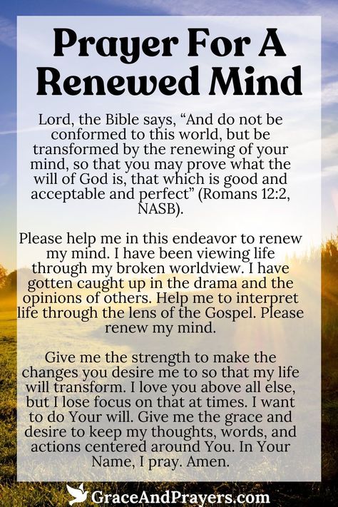 Prayers For The Mind, Prayer For Clarity And Guidance, Wisdom In The Bible, Discernment Prayer, Prayer For Discernment, Renewing Your Mind, Healing The Mind, Prayer For Comfort, Prayer For Wisdom