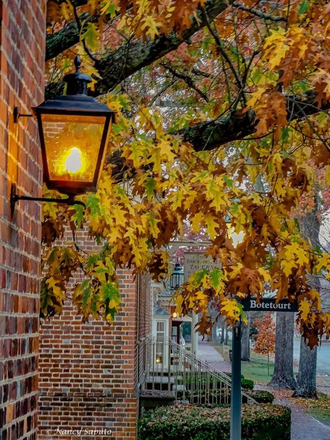 Colonial Williamsburg Friends | Facebook Colonial Williamsburg, To Share, History, Travel