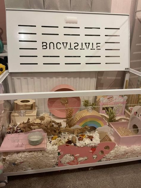 Kawaii Hamster Cage, Pink Hamster Cage Theme, Aesthetic Hamster Cage, Pink Hamster Cage, Hamster House Ideas, Cute Hamster Cage, Gerbil Cage Ideas, Hamster Cage Ideas Aesthetic, Natural Hamster Cage Ideas