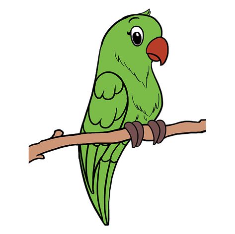 How to Draw Parrot: Step 10 Parotts Bird Drawing, Parrot Drawing For Kids, Draw Parrot, Parrot Printable, Draw A Parrot, Parrot Pictures, Pooh Drawing, Parrot Cartoon, Easy Pencil Drawings