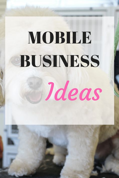 Mobile Truck Business Ideas, Baby Business Ideas, Mobile Business Ideas, Profitable Small Business Ideas, Laundry Business, Food Truck Business, Mobile Store, Business Ideas Entrepreneur, Small Business Start Up