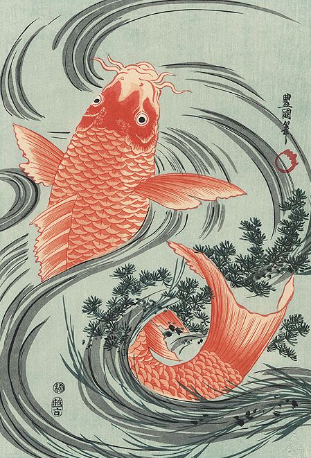 Woodblock print, circa year 1800, Japan., by artist Toyokuni I.   A large, strong, red carp jumps from the swirling water — a classic Japanese design. A brilliant image of the large fish in a rich, orange color against the flowing curves of a rushing stream, with tangles of grasses sweeping around its tail. Toyokuni I did very few nature scenes, and this is one of his best. A wonderful image and a very rare subject to find in reprint, beautifully detailed Red Carp, Koi Art, Art Chinois, Japanese Fish, Carpe Koi, Japanese Art Prints, Japanese Koi, Japanese Artwork, Two Fish