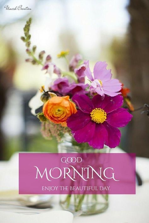 Good Morning Wishes With Flowers, Good Morning Spring, Good Morning Tuesday, Good Morning Greeting Cards, Spring Images, Good Morning Inspiration, Good Morning Nature, Good Morning Flowers Quotes, Good Morning Roses