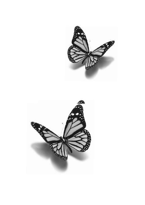 Butterfly With Shadow Tattoo Stencil, Realistic Monarch Butterfly Tattoo Black And White, 3d Butterfly Tattoo Stencil, Butterfly With Shadow Tattoo, Butterfly Tattoo With Shadow, Butterfly Drawing Black And White, Monarch Butterfly Tattoo Black And White, 3d Butterfly Drawing, Mariposas Tattoo