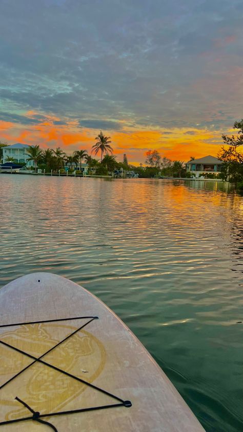 Florida Mood Board, Moving To Florida Aesthetic, Florida Spring Break Aesthetic, Florida Life Aesthetic, Florida Astethic, Paddleboarding Aesthetic, Summer Widgets Aesthetic, Paddle Boarding Aesthetic, Florida Girl Aesthetic